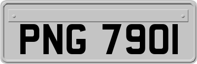 PNG7901