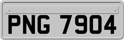 PNG7904
