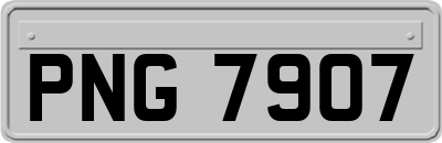 PNG7907