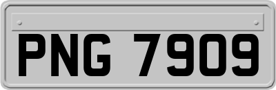 PNG7909