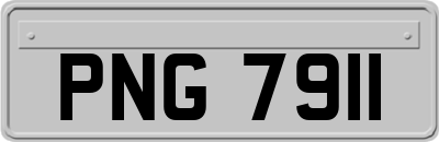 PNG7911