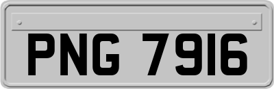 PNG7916