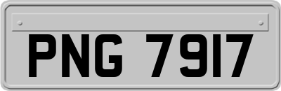 PNG7917