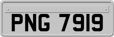 PNG7919