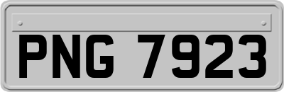 PNG7923