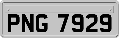 PNG7929