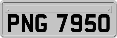 PNG7950