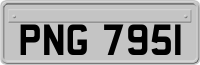 PNG7951