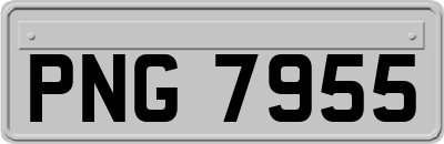 PNG7955