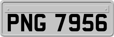PNG7956