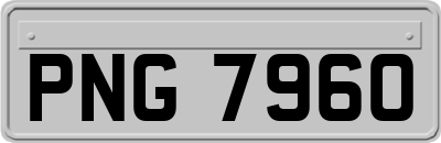 PNG7960