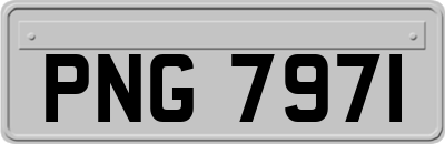 PNG7971
