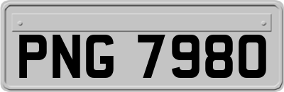 PNG7980