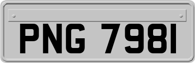 PNG7981