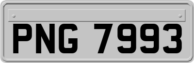 PNG7993