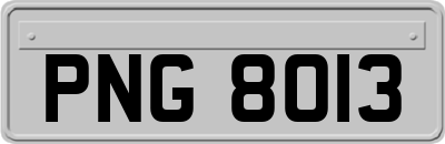 PNG8013