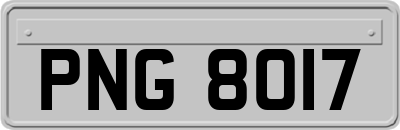 PNG8017