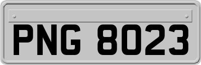 PNG8023