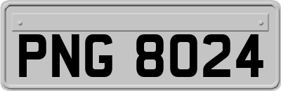 PNG8024