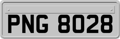 PNG8028