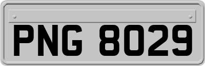 PNG8029