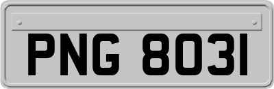 PNG8031