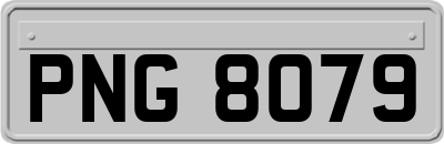 PNG8079