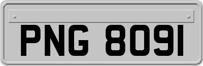 PNG8091