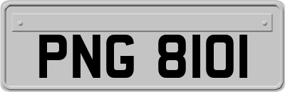 PNG8101