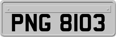 PNG8103