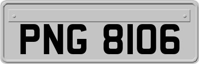 PNG8106