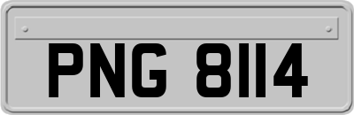PNG8114
