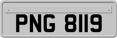 PNG8119