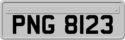 PNG8123
