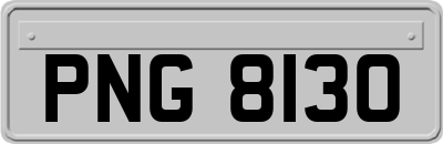 PNG8130