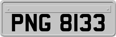 PNG8133