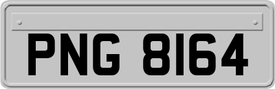 PNG8164