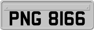 PNG8166