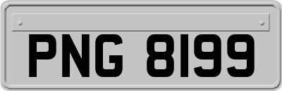 PNG8199