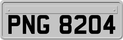 PNG8204
