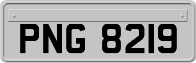 PNG8219