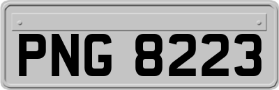 PNG8223