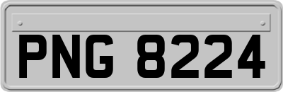 PNG8224