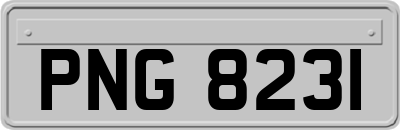 PNG8231