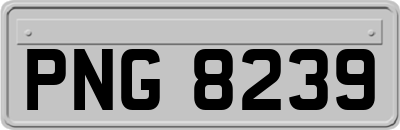 PNG8239