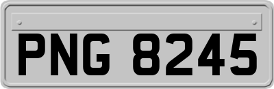 PNG8245