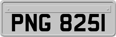 PNG8251