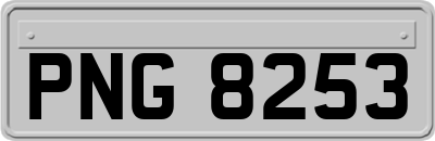 PNG8253