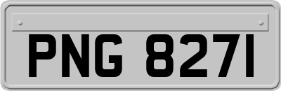 PNG8271