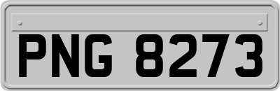 PNG8273